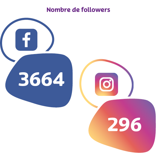 Visuel Facebook et instagram avec le nombre de followers